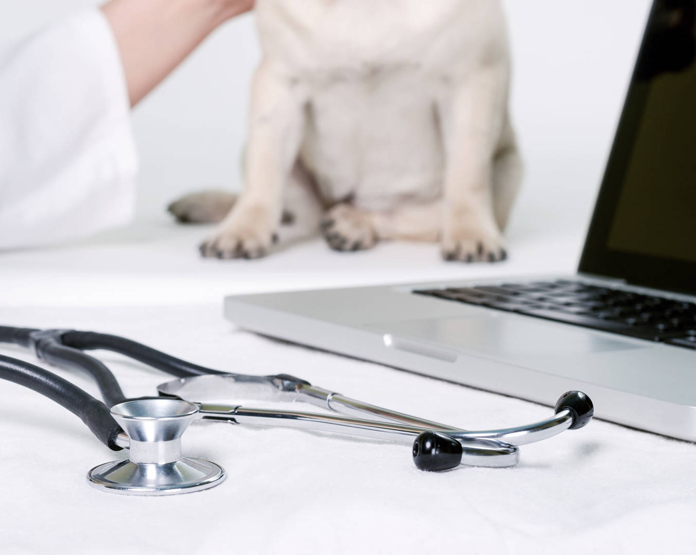 A stethoscope and computer on a vet exam table