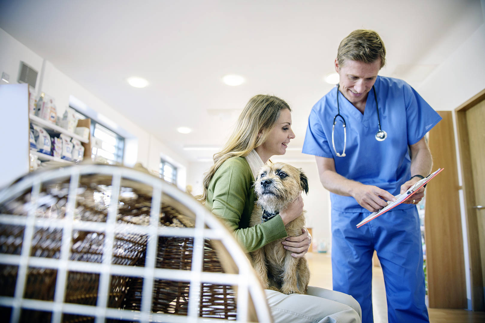 Veterinarian having a conversation with a client about regular pet care compliance