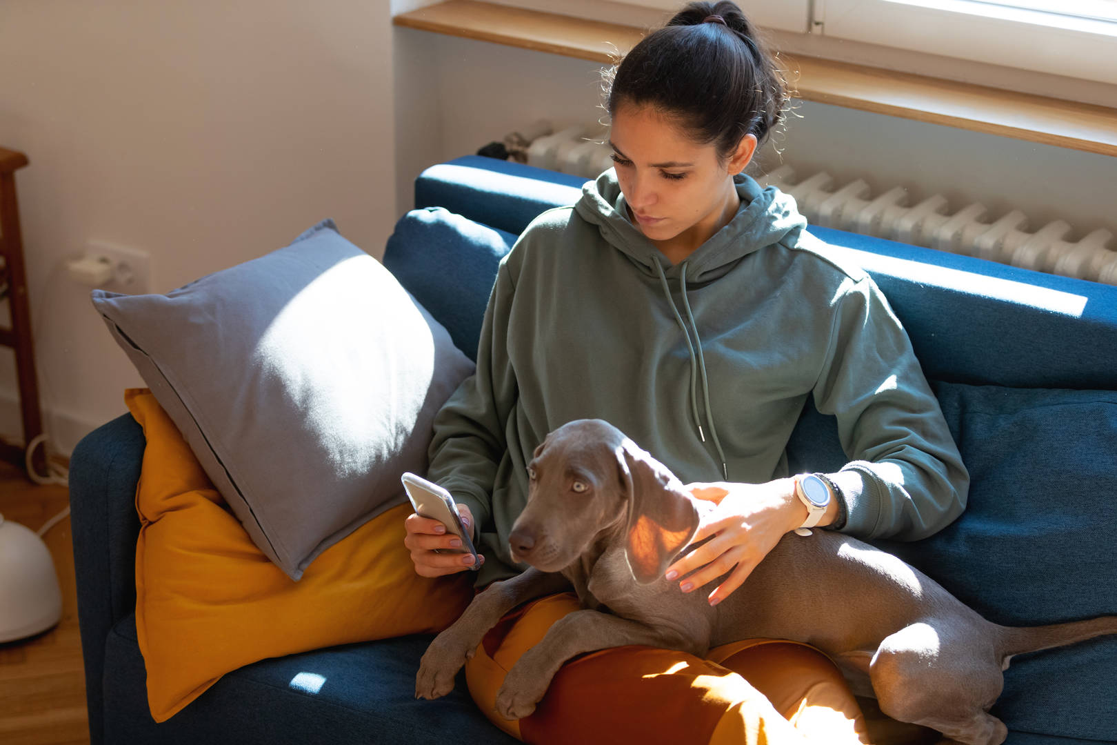 Young woman with brown hair sits on couch while petting dog and looking at smart phone.